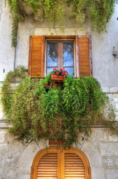 Flowering balcony. — Stock Photo, Image