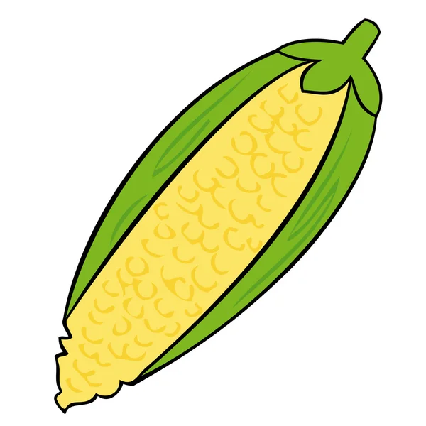 Épi de maïs . — Image vectorielle
