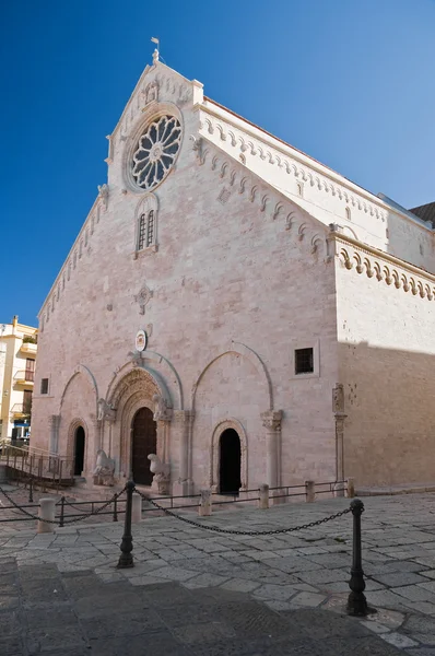 Catedral. Ruvo di Puglia. Apulia . —  Fotos de Stock