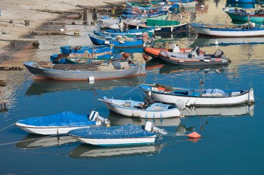 Boats moored at tourist port of Bisceglie. Apulia. clipart