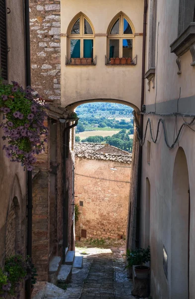 stock image Alleyway. Spello. Umbria.