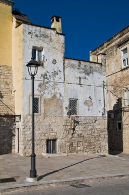 Bisceglie görünümü. Apulia.