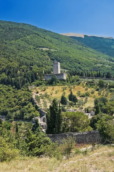 View of Assisi. Umbria. — Stock Photo, Image