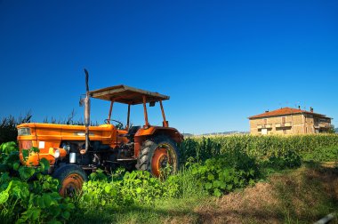 Truck in countryside. clipart