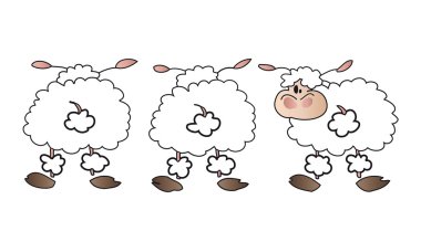 White sheep group. clipart