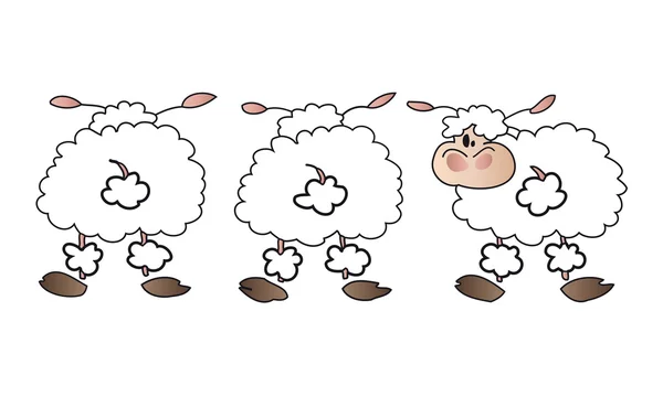 Grupo de ovejas blancas . — Archivo Imágenes Vectoriales