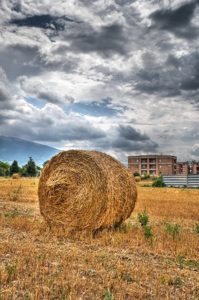 田舎で干し草を圧延. — ストック写真