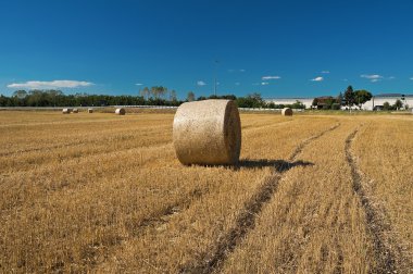 Rolling haystack in countryside. clipart