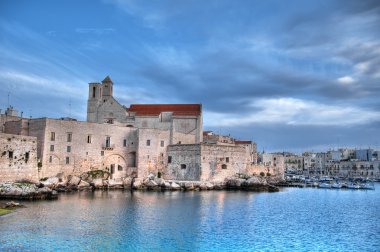 Panoramic view of Giovinazzo. Apulia. clipart