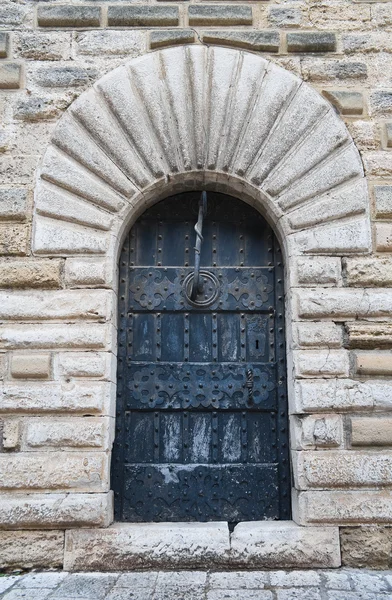 stock image Castle portal.