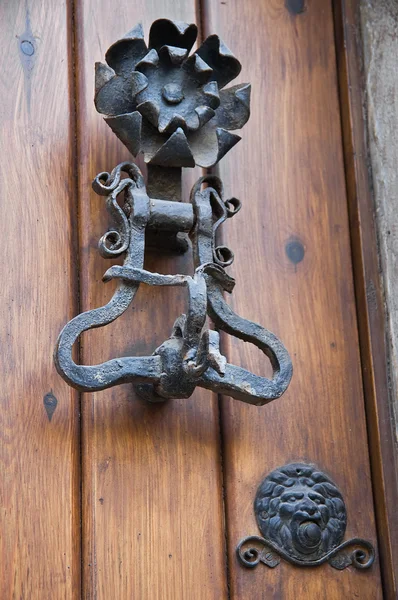 Doorknocker. — Zdjęcie stockowe