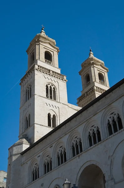 Catedral Santa Maria Assunta Altamura Apúlia — Fotografia de Stock