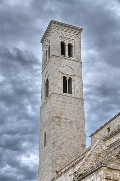 De kathedraal van St. corrado klokkentoren. Molfetta. Apulië. — Stockfoto