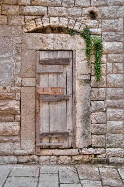 Wooden door. — Stock Photo, Image