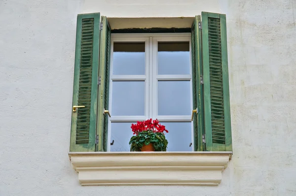 Fenêtre Avec Fleurs — Photo
