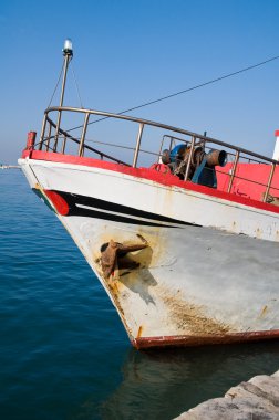 balıkçı trol ise.