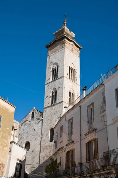 Collegiale Kerk Maria Della Colonna Rutigliano Apulië — Stockfoto
