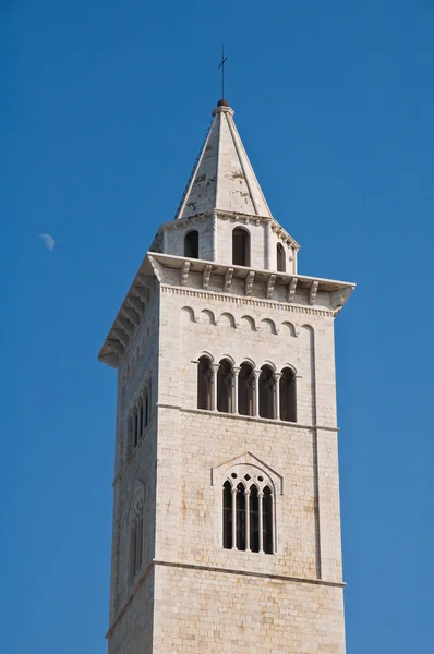 Glockenturm Münster. trani. apulien. — Stockfoto