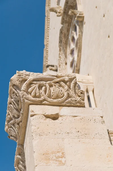 Katedrála Trani Apulie — Stock fotografie