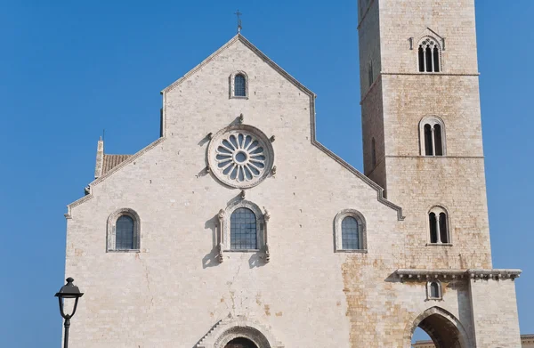 Katedralen. Trani. Apulien. — Stockfoto