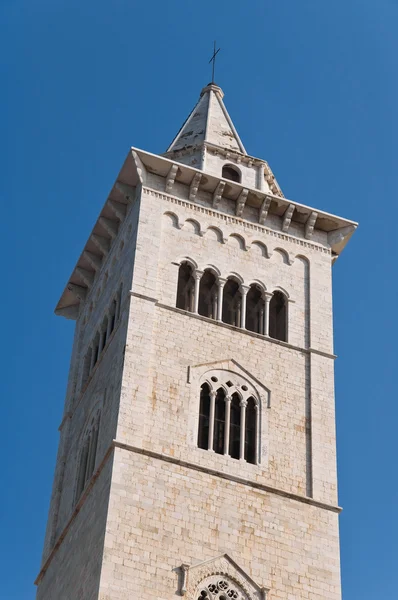 Belltower Katedry Trani Apulia — Zdjęcie stockowe