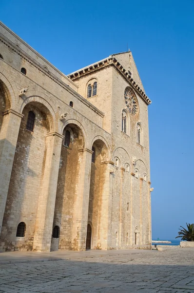 Katedra Trani Apulia — Zdjęcie stockowe