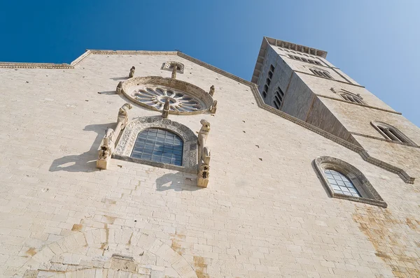 Kathedraal Trani Apulië — Stockfoto