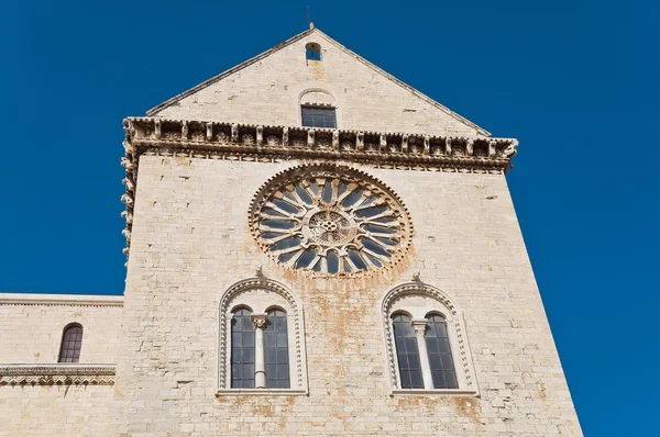 Katedra. Trani. Apulia. — Zdjęcie stockowe