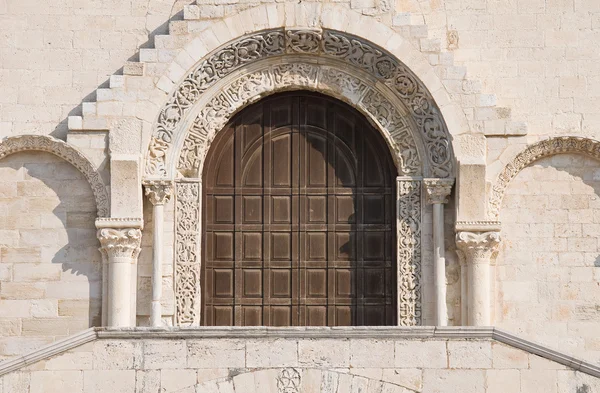 Portal katedry. Trani. Apulia. — Zdjęcie stockowe