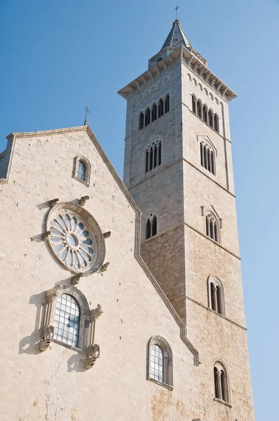 大聖堂 トラーニ プーリア — ストック写真