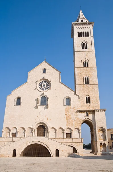 Cattedrale. Trani. La Puglia . — Foto Stock