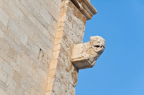 Detalj Katedralen Trani Apulien — Stockfoto