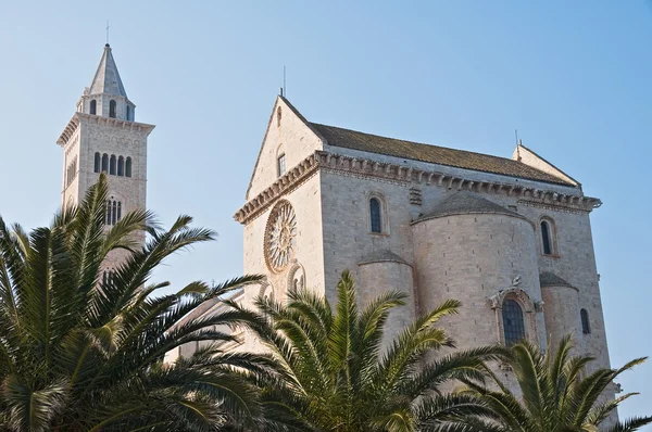 Cathedral. Trani. Apulia. — Stock Photo, Image