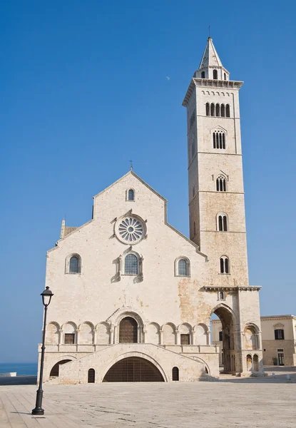 Catedral. Trani... Apúlia . — Fotografia de Stock
