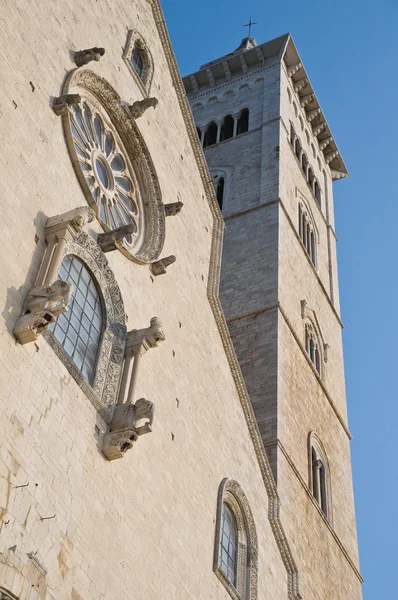 Catedral. Trani... Apúlia . — Fotografia de Stock