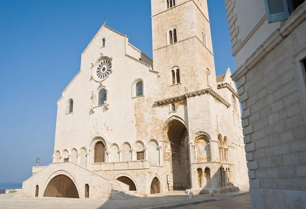 Katedral. Trani. Apulia. — Stok fotoğraf