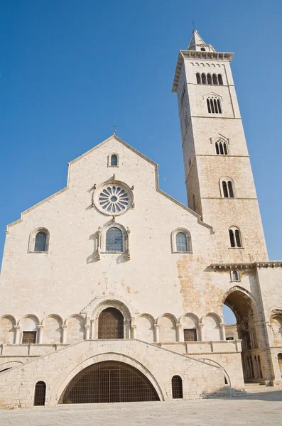 Catedral. Trani. Apulia . —  Fotos de Stock
