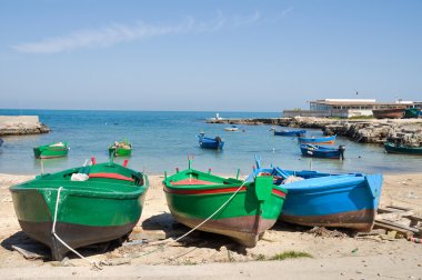 polignano bir kısrak liman manzarasına. Apulia.