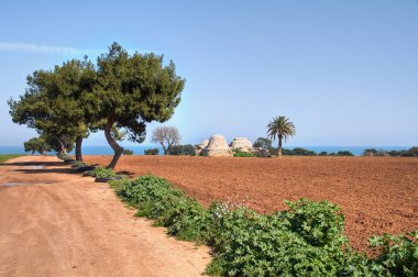 Trulli kırsal kesimde. Apulia.