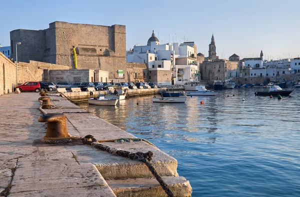 Vue panoramique sur le port de Monopoli. Pouilles . — Photo