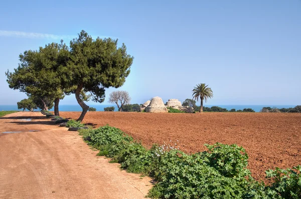 Trulli in countryside. Apulia. — Stock Photo, Image