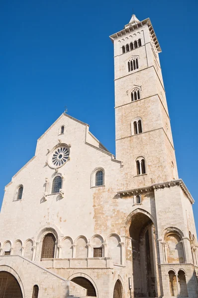 Katedrála. Trani. Apulie. — Stock fotografie