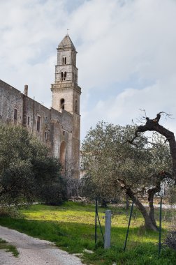 Aziz domenico Kilisesi. Putignano. Apulia.