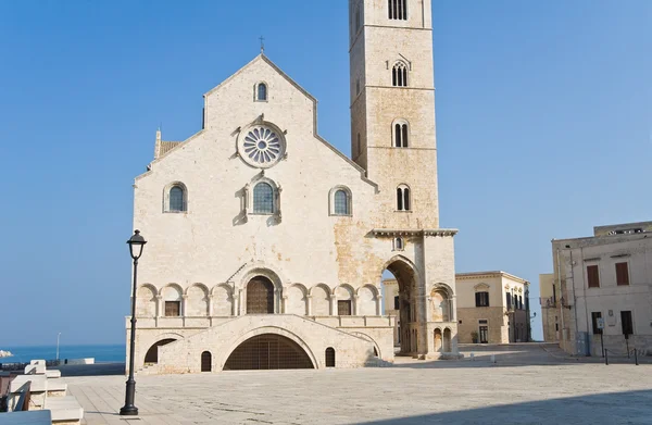 Catedral. Trani. Apulia . —  Fotos de Stock