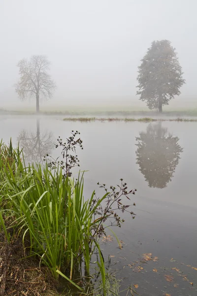 Mist over lake — Stock Photo, Image