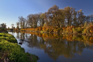 Autumn and river clipart