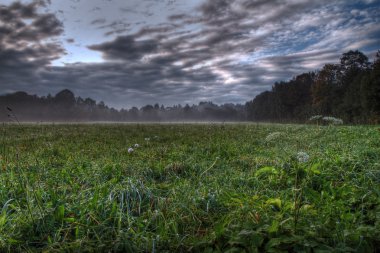 Beautiful morning meadow with mist. clipart