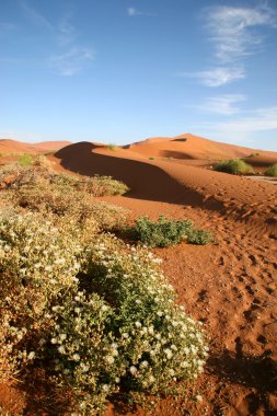 Sossusvlei tepeleri