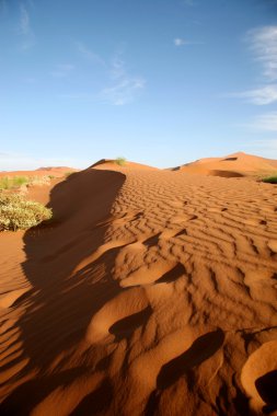 Sossusvlei dunes clipart