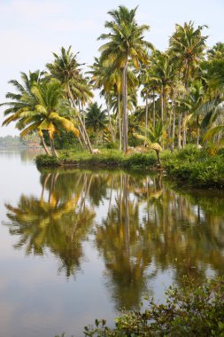 Back Waters in Kerala